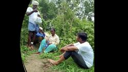 TED: The "greenhouse-in-a-box" empowering farmers in India | Sathya Raghu Mokkapati Instructional Video