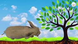 Methusaleh: The oldest tree in the world | What's the mystery of trees' immortality? Instructional Video