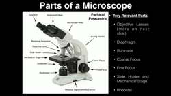 Lab Exercise 2: Microscopes and Cell Shapes Instructional Video