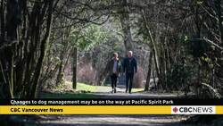 Metro Vancouver considers changes to dog leashing requirements at Pacific Spirit Park News Clip