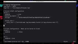 Getting Started with HashiCorp Nomad - Demo - Monitor the Nomad Environment Instructional Video