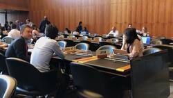 Japan-SKorea trade spat overshadows WTO meeting Instructional Video