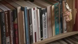 CLEAN : 'Very emotional': Tolstoy descendant hosts Ukrainians in Switzerland News Clip