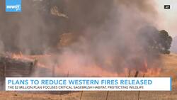 Plans Released to Help Reduce Fires in the West, Protect Wildlife News Clip