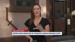 NYPD: Bronx man arrested in connection to body parts found in shopping cart in Yonkers Instructional Video