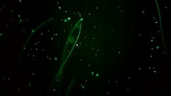 Glow in the dark of underwater world of deep sea animal Stock Footage