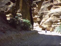 ANCIENT PETRA, JORDAN, 1976 Stock Footage