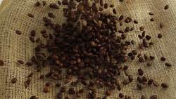 I WONDER - What Are The Different Types Of Coffee Beans? Instructional Video