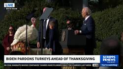 Biden pardons turkeys Peach and Blossom, continuing White House Thanksgiving tradition News Clip