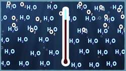 The Bizarre Beast with Clear Blood Instructional Video