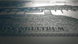 1 Bhutan Ngultrum Front Micro Displacement Close Up Macro Stock Footage