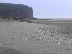 Explorando la Tierra, el sol y la luna: mareas Instructional Video