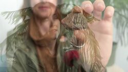 Rare fossil found on P.E.I. beach could be nearly 300 million years old, archeologist says News Clip