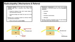 Radicular Pain Versus Radiculopathies EXPLAINED Instructional Video