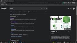 Mega Web Development Bootcamp with React Bootstrap 5, Redux, and REST API - Installing NodeJS runtime Instructional Video