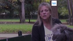 Miniature therapy horses bring joy to Athens’ vulnerable communities Instructional Video