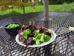 Introduction to Healthy Habits Instructional Video