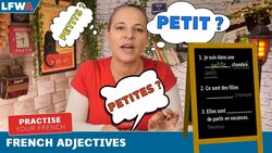 Practise your French adjectives Instructional Video