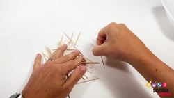 Explore Enzyme Activitiy with Toothpicks Instructional Video