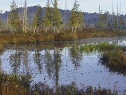 Investigar los recursos naturales de la tierra: video de evaluación Instructional Video