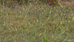 Yonkers officials encourage residents to conserve water during drought News Clip