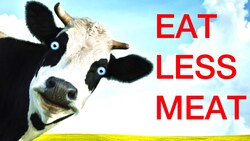 Fight Climate Change, Eat Less Meat Instructional Video