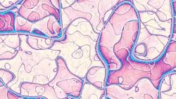 Moving random psychedelic wavy texture. Stock Footage