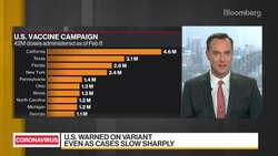 U.S. Warned on Covid Variant Even as Cases Slow Sharply News Clip