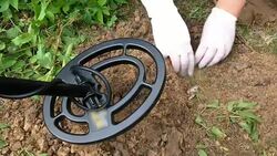 Treasure Hunters Using Metal Detector and Gloves Stock Footage