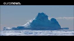 Award winning filmmaker Luc Jacquet films a new chapter in emperor penguin’s life News Clip