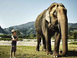 The Gimme Awards: A Night of Surprises and Celebrations in the Animal World Instructional Video