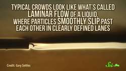 3 Surprising Things That Act Like Fluids Instructional Video