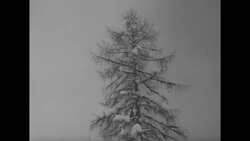 Dachstein Mountain body recovery in Austria after avalanche News Clip