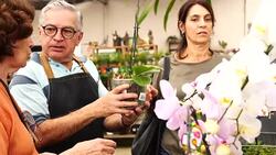 Family shop for plants with Salesman at Flower Market Stock Footage