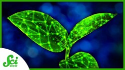 Making Plants High-Tech With Artificial Neurons | SciShow News Instructional Video