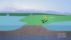 Human Water Cycle - Drinking Water Instructional Video