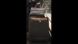 What Actually Happens to Unclaimed Bags in Airports Instructional Video