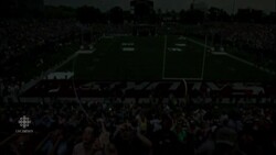 Total solar eclipse: 158 seconds of darkness in Carbondale, Ill. News Clip