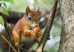 Consumer Instructional Video