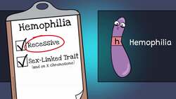 Punnett Squares and Sex-Linked Traits (UPDATED) Instructional Video