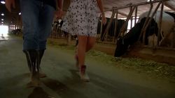 Uncovering the Murky Secrets of Milk: From Production to Consumption Instructional Video