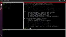 Practical Linux Command Line 2.0 - Discover Basic Network Commands (ifconfig, hostname -I, ping, wget) Instructional Video