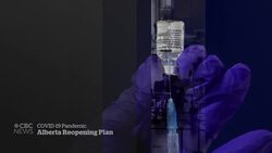 Alberta lays out 3-stage reopening plan News Clip