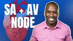 The Pacemaker of the Heart - SA and AV Nodes Made EASY! Instructional Video