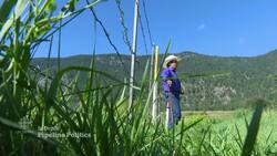 Indigenous communities divided over pipeline News Clip