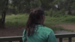 CLEAN : Orphaned rhinos find safe refuge in South African sanctuary News Clip