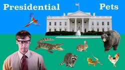 All the Presidents' Pets Instructional Video