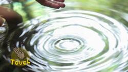 Five Senses: Part 2 Instructional Video