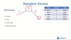 Machine Learning: Random Forest with Python from Scratch - Information Gain Instructional Video