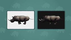 I WONDER - What Is The Difference Between Black And White Rhino? Instructional Video